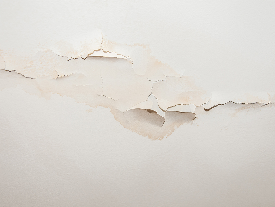 How to fix a damaged wall or ceiling - DIY 